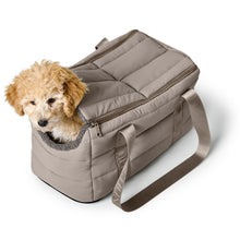 2-in-1 Dog Carrier and Blanket Seoul