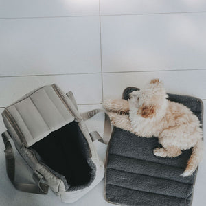 2-in-1 Dog Carrier and Blanket Seoul