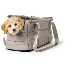 2-in-1 Dog Carrier and Blanket Seoul