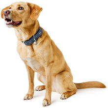 Collar Malibu