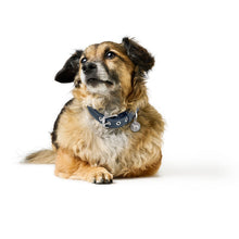 Collar Malibu