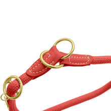 Training Collar Malibu