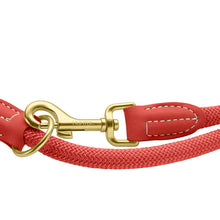 Training Leash Malibu