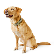 Collar Malibu