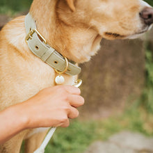 Collar Malibu