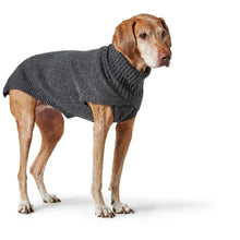 Dog Pullover Genf