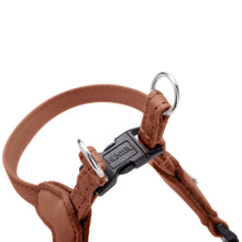 Harness Soho Mini