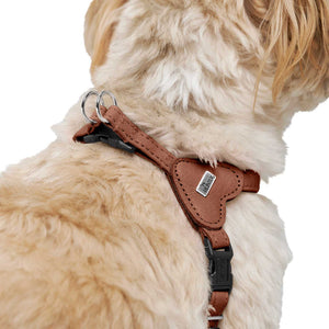 Harness Soho Mini