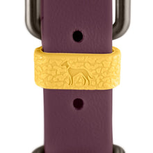 Collar Havanna Mini