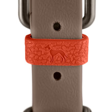Collar Havanna Mini