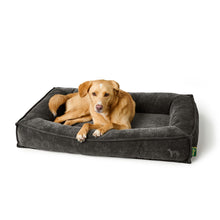 Orthopaedic/Ergonomic Dog Beg Melun