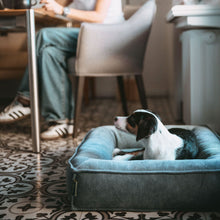 Orthopaedic/Ergonomic Dog Beg Melun