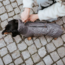 Dog coat Lundby Dachshund Kutyakabát