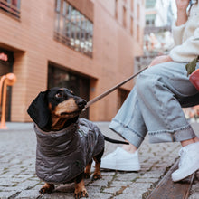 Dog coat Lundby Dachshund Kutyakabát