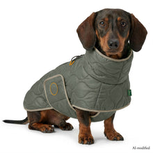Dog coat Lundby Dachshund Kutyakabát