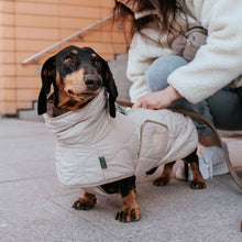 Dog coat Lundby Dachshund Kutyakabát