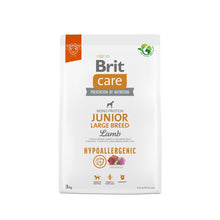 Brit Care Dog Hypoallergenic Lamb Junior Large Breed Száraztáp
