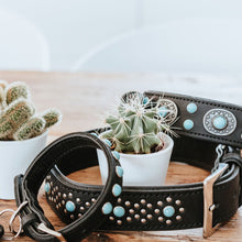 Dog Collar Madona