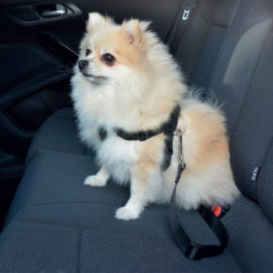 DUVO+ Car Dog Safety Harness