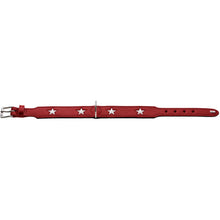 Collar Magic Star