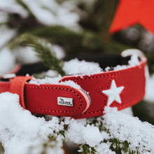 Collar Magic Star