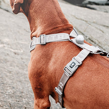 Hurtta Adventure Harness