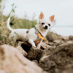 Hurtta Adventure Harness