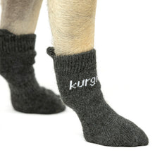 Kurgo Blaze Dog Socks