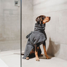 Hunde-Dog bathrobe Riga