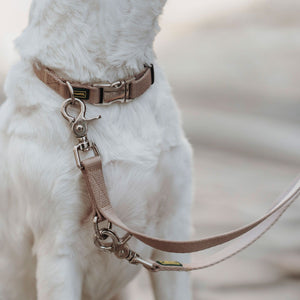 Training leash Inari