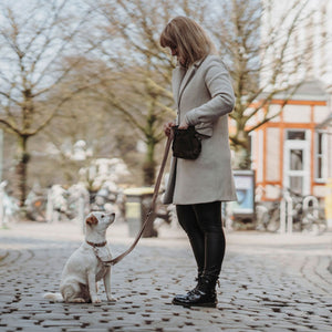 Training leash Inari