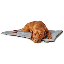 Travel Blanket For Dogs Rockford