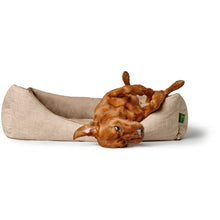 Orthopaedic/Ergonomic Dog Sofa Seattle