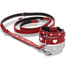 Training leash Love