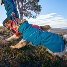 Hurtta Expedition Parka II