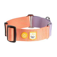 Color Block Martingale Nyakörv