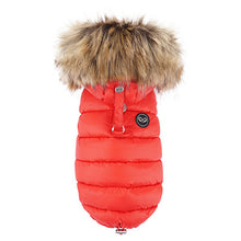 Puppy Angel(R) Double™ Down Hood Vest (RF, FSC)