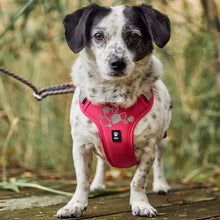 Hurtta Weekend Warrior Harness II ECO