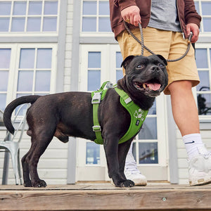 Hurtta Weekend Warrior Harness II ECO
