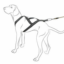 Hurtta X-Sport Harness