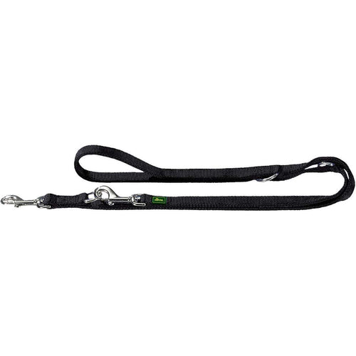Training leash double