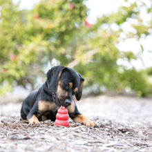 Dog toy KONG® Classic