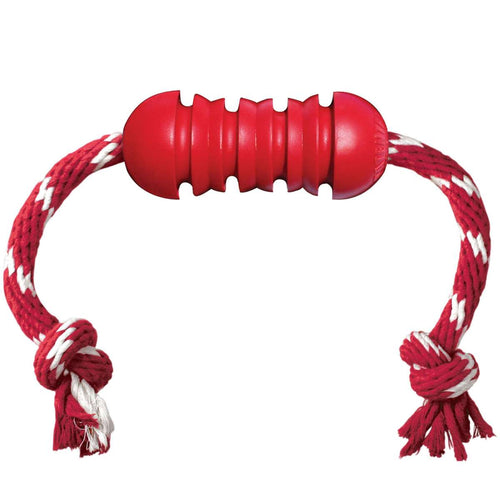 Dog toy KONG® Dental with rope