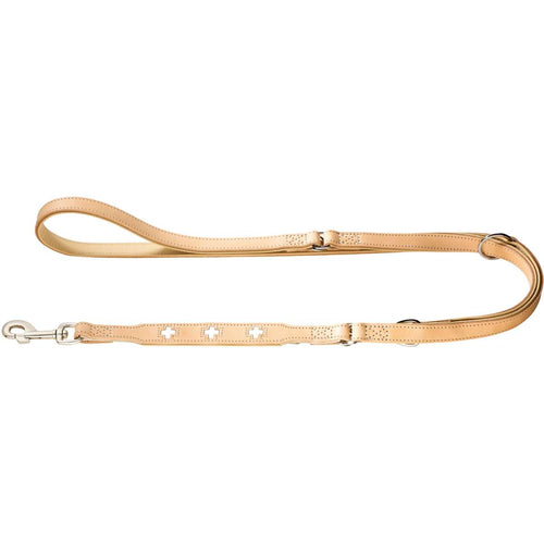 Training leash Swiss