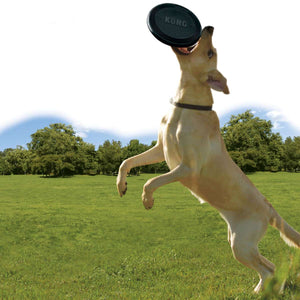 Dog toy KONG® Extreme Flyer