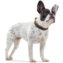 Collar Porto