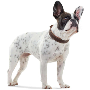 Collar Porto