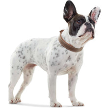 Collar Porto