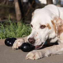 Dog toy KONG® Extreme Goodie Bone™