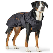 Dog coat Uppsala Thermo